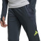 Calças adidas SLB Benfica Training 2024-2025 Criança