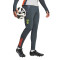 adidas SLB Benfica Training 2024-2025 Trousers