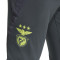 adidas SLB Benfica Training 2024-2025 Trousers