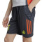 adidas Kids SLB Benfica 2024-2025 Training Shorts