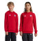 adidas FC Bayern Fanswear 2024-2025 Niño Sweatshirt