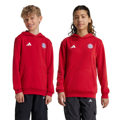 Kids FC Bayern Fanswear 2024-2025 Sweatshirt