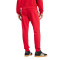 Pantalón largo adidas FC Bayern Fanswear 2024-2025