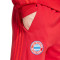 Calças adidas FC Bayern Fanswear 2024-2025