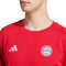 adidas FC Bayern Fanswear 2024-2025 Sweatshirt