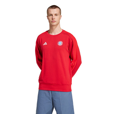 Felpa FC Bayern Fanswear 2024-2025