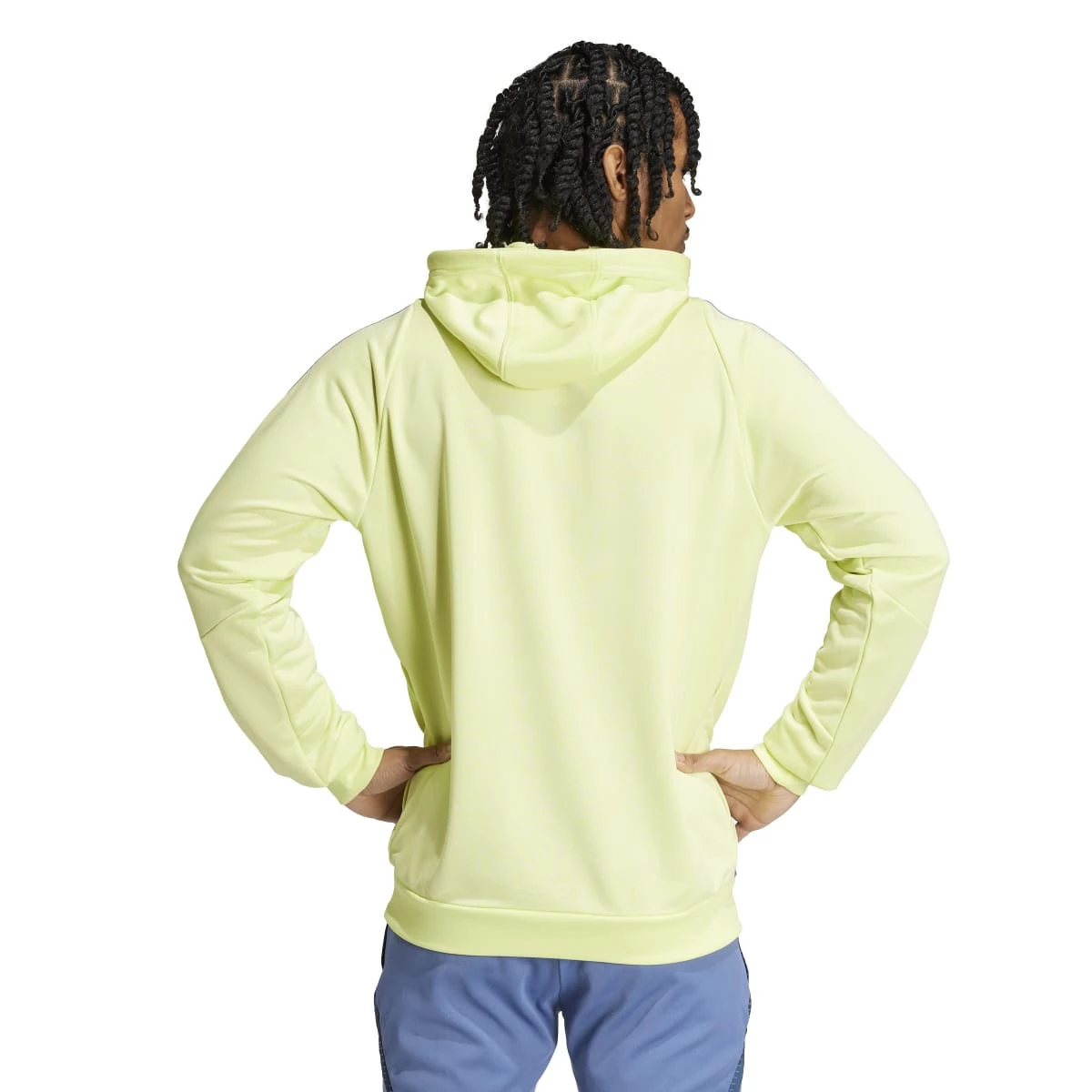 adidas Ajax Training 2024 2025 Sweatshirt