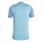 Camiseta adidas Ajax Training 2024-2025