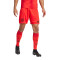 Pantaloncini adidas FC Bayern Home Kit 2024-2025