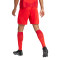 adidas FC Bayern 2024-2025 Home Kit Shorts