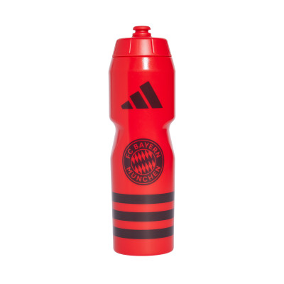 FC Bayern 2024-2025 Flasche