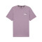 Jersey Puma Essentials + 2 Col Small Logo