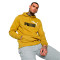 Sudadera Puma Essentials + 2 Col Big Logo