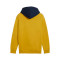 Sudadera Puma Power Colorblock