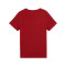 Camisola Puma Squad Small Graphic Criança