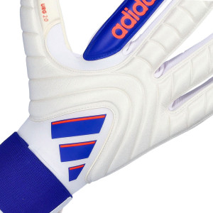DORSO-2
