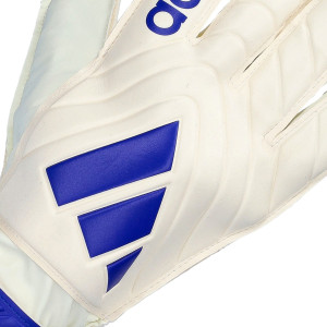DORSO-2