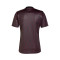 Jersey adidas Ajax Pre-Match 2024-2025