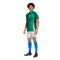 adidas Italy Pre-Match Euro 2024 T-Shirt
