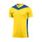 Camiseta Nike Park Derby IV m/c