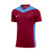 Maillot Nike Park Derby IV m/c