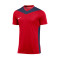 Maillot Nike Park Derby IV m/c