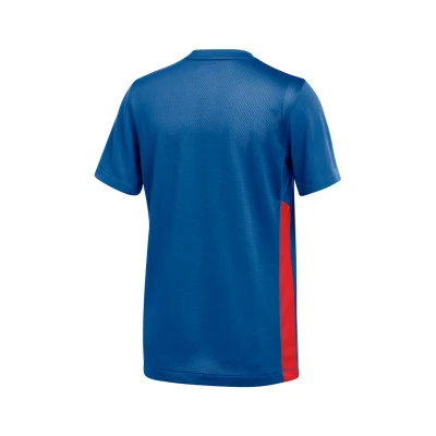 Camiseta Park Derby IV m/c Niño