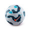 Nike Flight Ball