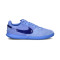 Nike Kids Street Gato Futsal shoes