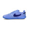Nike Kids Street Gato Futsal shoes