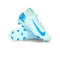 Nike Mercurial Superfly 10 Club FG/MG Football Boots