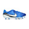 Zapatos de fútbol Nike Tiempo Legend 10 Academy FG/MG Niño