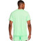 Camiseta Nike Dri-Fit