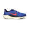 Zapatilla Nike Air Zoom Pegasus 41