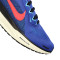 Zapatilla Nike Air Zoom Pegasus 41