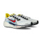 Tenis Nike Air Zoom Pegasus 41