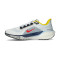 Tenis Nike Air Zoom Pegasus 41