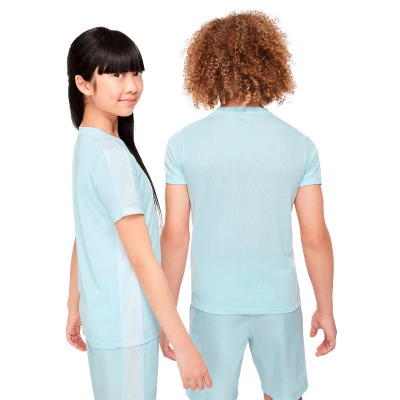 Dri-FIT Academy 23 T-Shirt