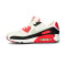 Zapatilla Nike Air Max 90 Mujer