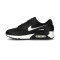 Tenis Nike Air Max 90 Mujer