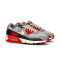 Sapatilha Nike Air Max 90