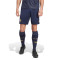 Calções adidas Juventus Terceiro Equipamento 2024-2025
