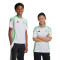 adidas Kids' Argelia Africa Cup 2024 Home T-Shirt