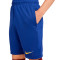 Short Nike FC Barcelona Training 2024-2025 Niño