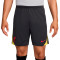 Calções Nike Liverpool FC Training 2024-2025