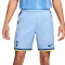 Nike Tottenham 2024-2025 Away Kit Shorts