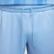 Nike Tottenham 2024-2025 Away Kit Shorts