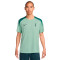 Camiseta Nike Tottenham Training 2024-2025
