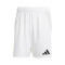 adidas Tiro 24 Competition Match Shorts