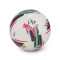 Balón Puma Orbita Liga Portugal 2024-2025 Quality Pro